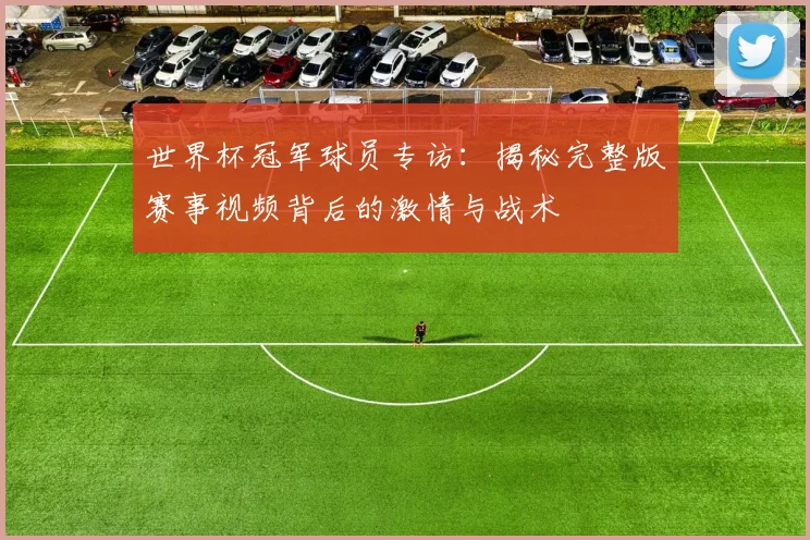 世界杯冠军球员专访：揭秘完整版赛事视频背后的激情与战术